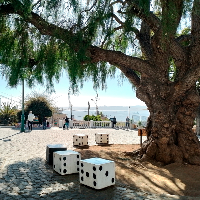 Foto-paseo-yugoslavo-victoria-rojas-640×640